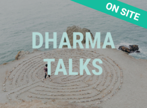 Dharma Talks