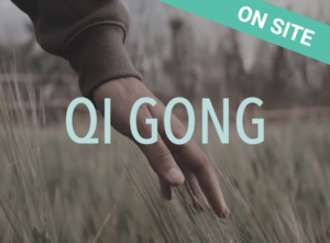 Qi Gong