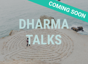 Dharma Talks
