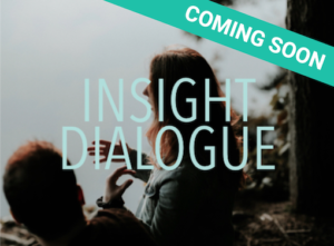 Insight Dialogue