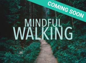 Mindful Walking - Shinrin Yoku