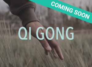 Qi Gong