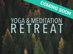 Yoga & Meditation Retreat